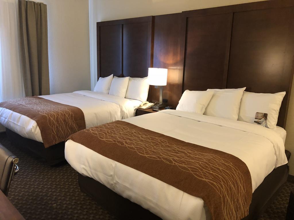 Comfort Inn & Suites Sw Houston Sugarland Eksteriør billede